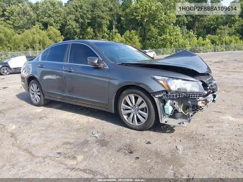 Honda Accord (VIII)