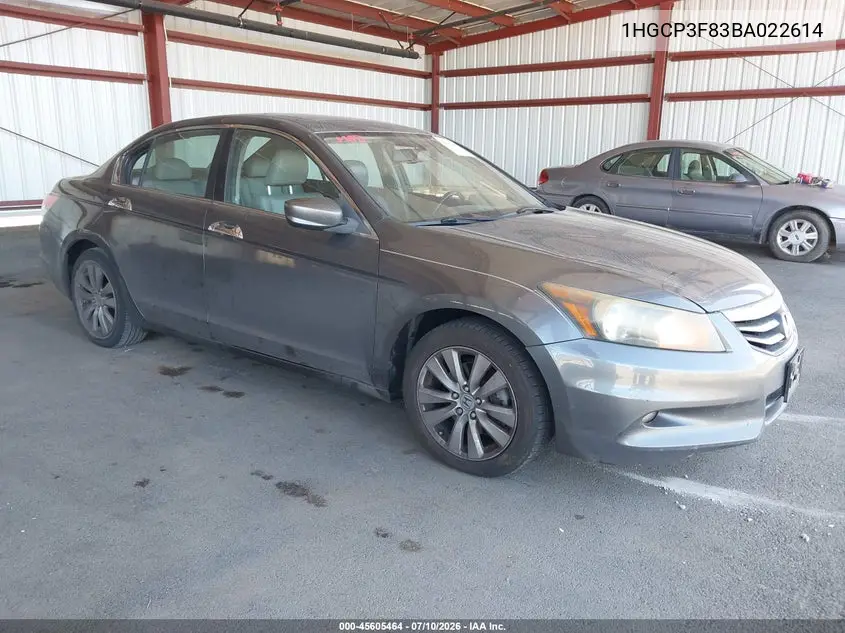 Honda Accord (VIII)