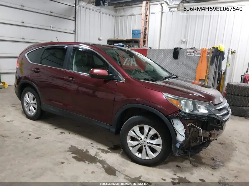 Honda CR-V (IV)