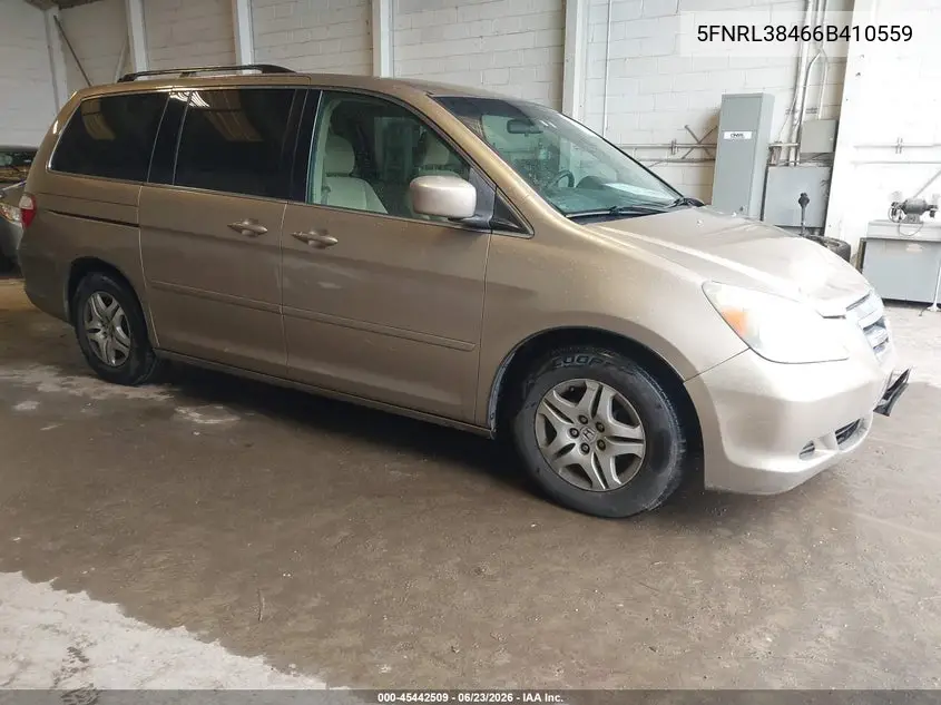 Honda Odyssey (III)