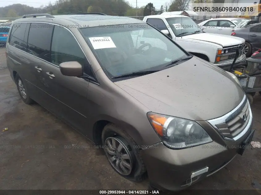 Honda Odyssey (IV)