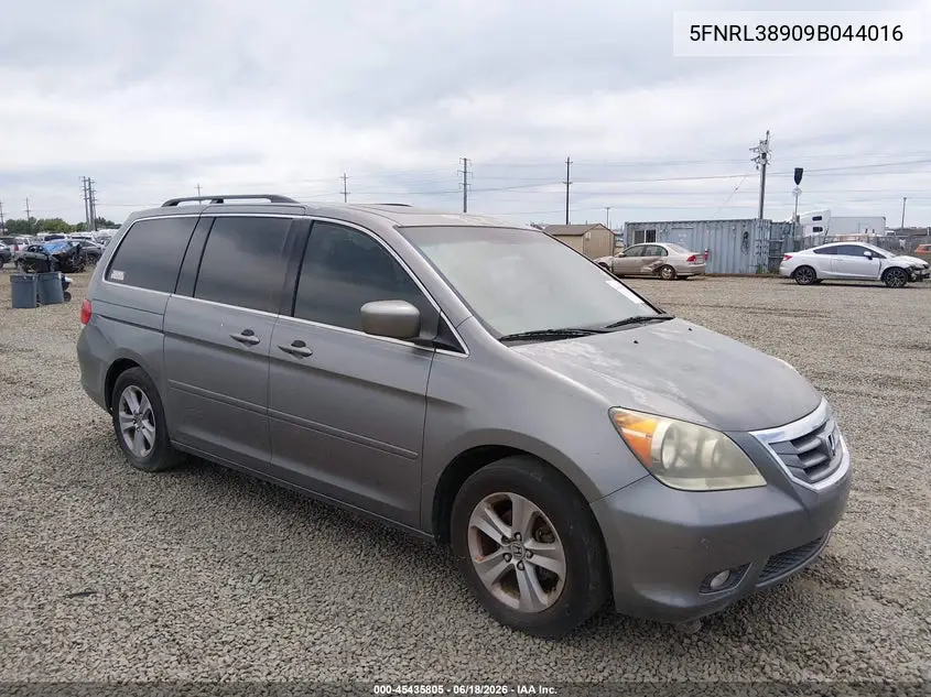 Honda Odyssey (IV)