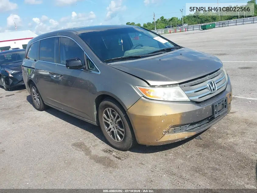 Honda Odyssey (IV)