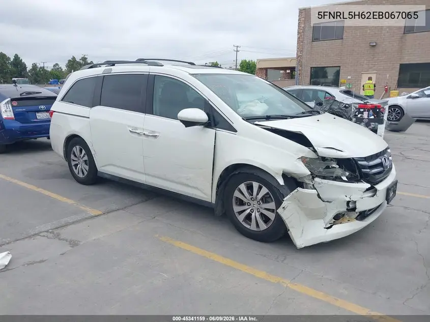 Honda Odyssey (IV)