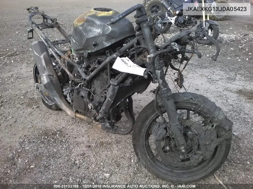 kawasaki ninja