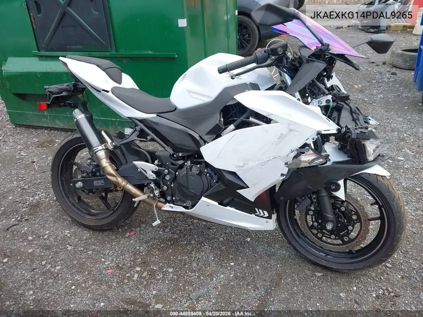 kawasaki ex