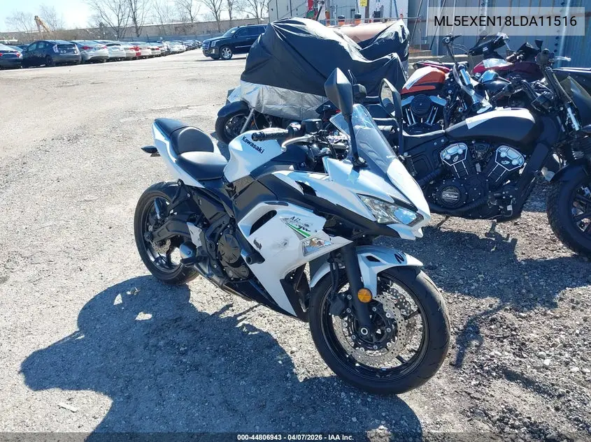 kawasaki ninja