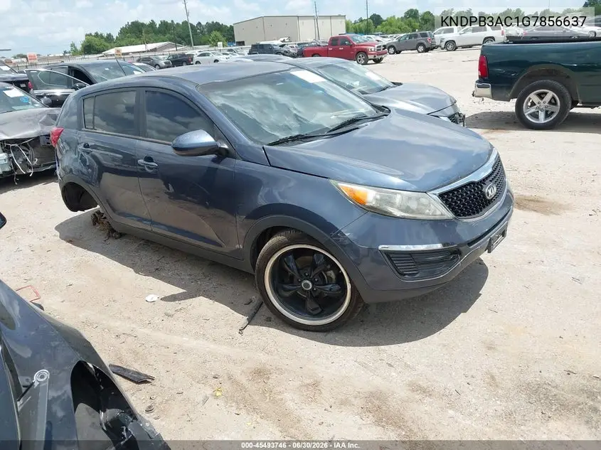 Kia Sportage (III)