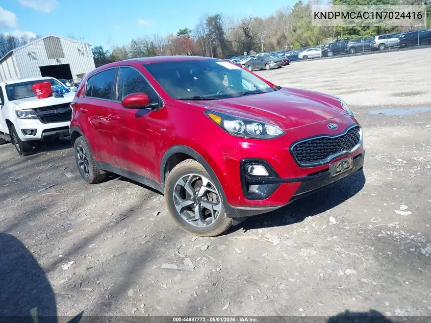 Kia Sportage (IV)