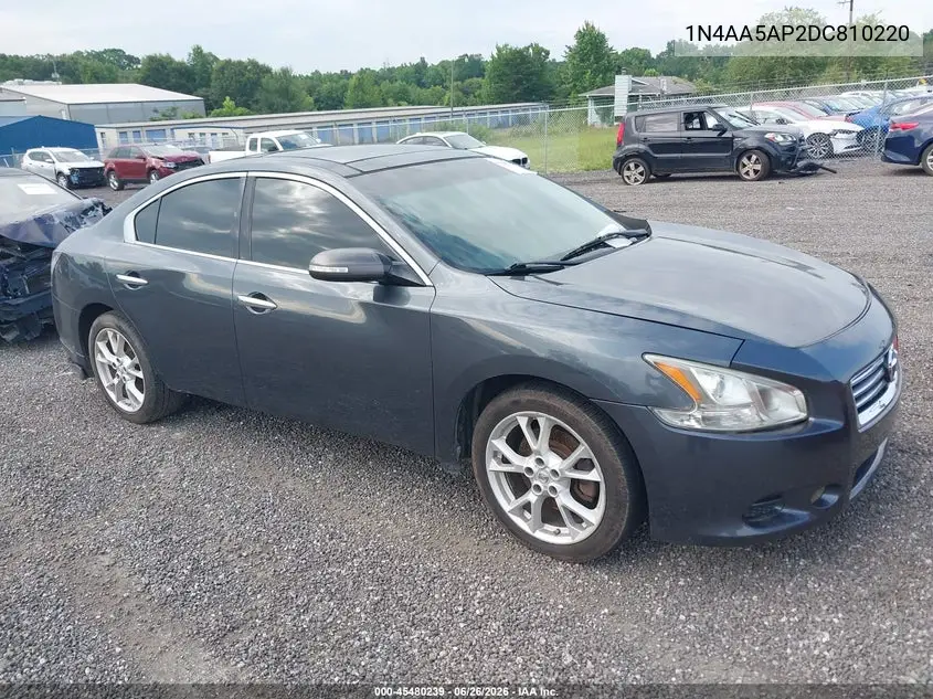 Nissan Maxima (A35)