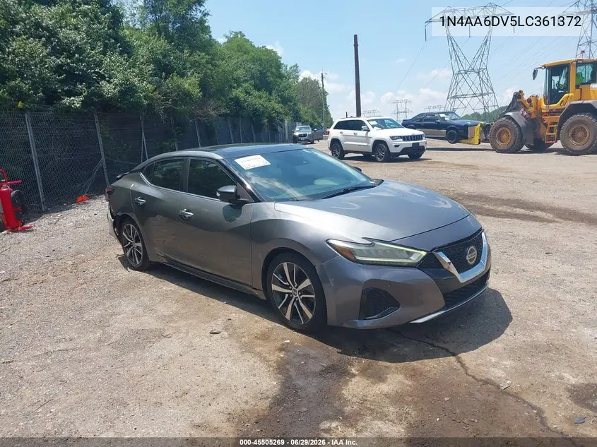 Nissan Maxima (A36)