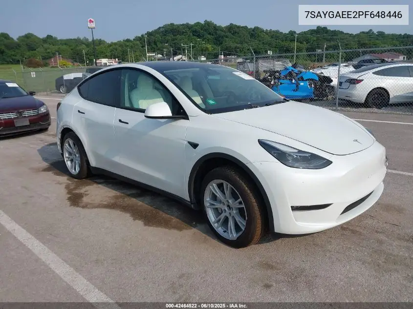Tesla Model Y (I)