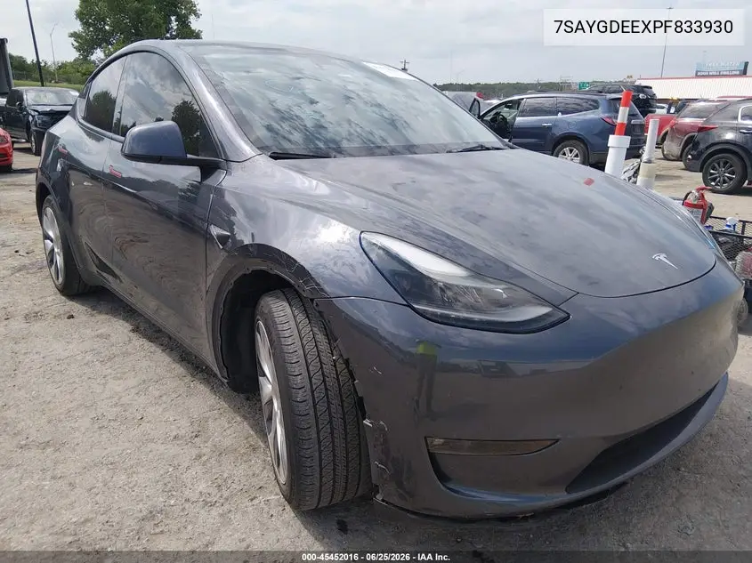 Tesla Model Y (I)