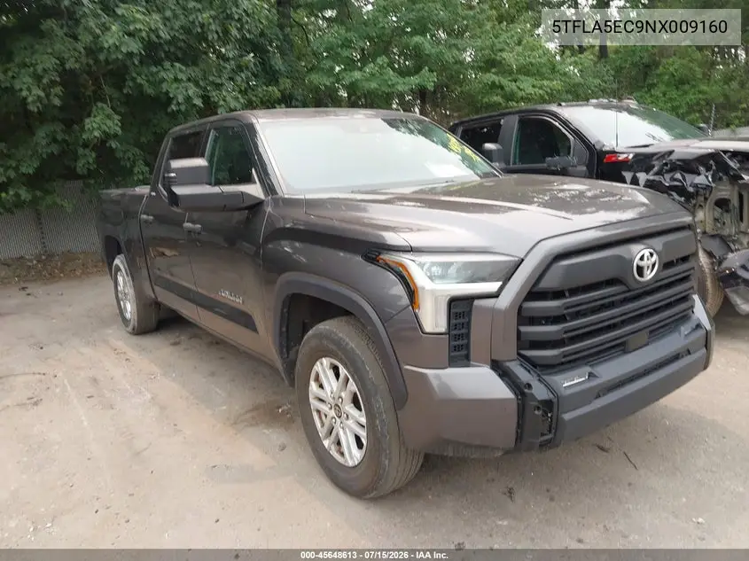 Toyota Tundra (III)