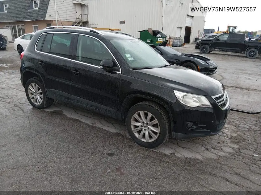 Volkswagen Tiguan (I)